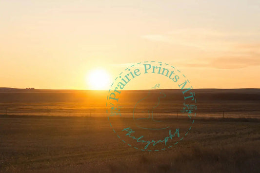 sunset from a field