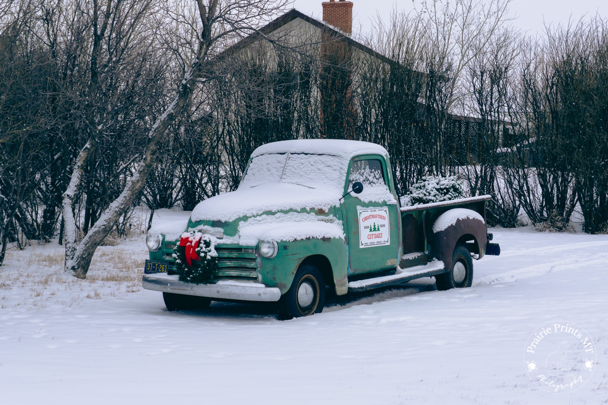 Pickup Trucks
