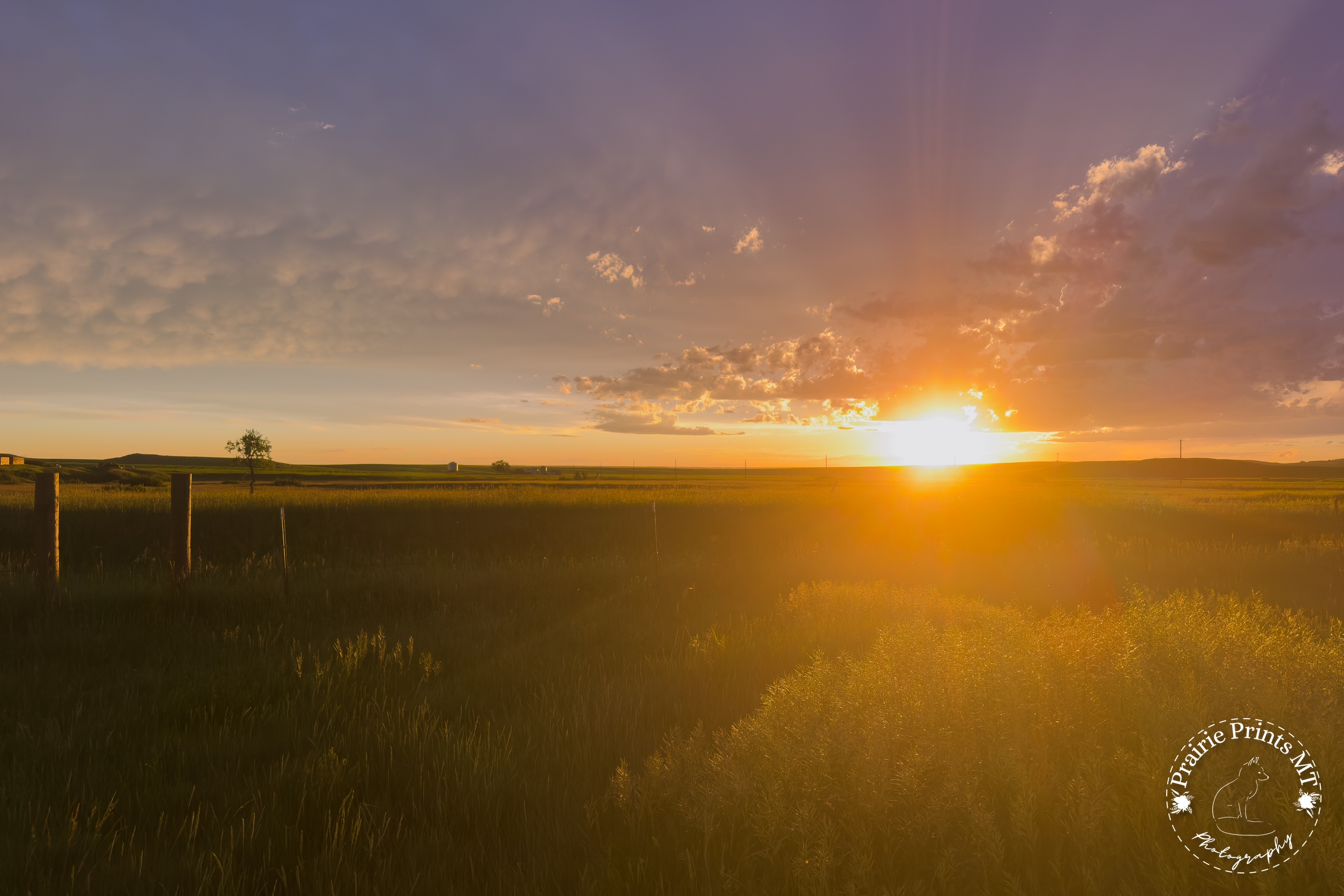 Unframed Photo Print - Summer Sunset - Montana Landscape Wall Art Print