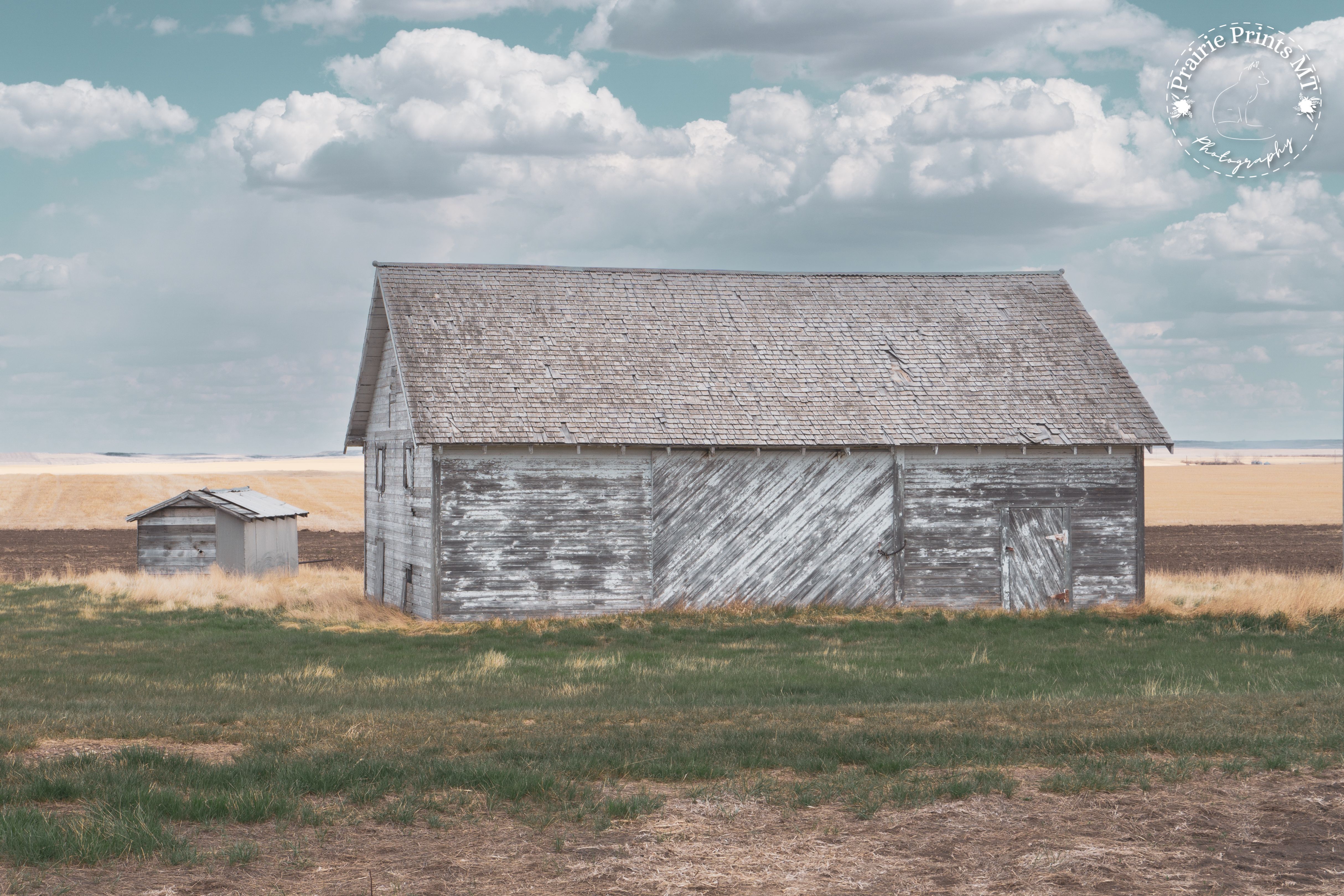 Fieldside Quiet - Weathered Barn on the Prairie - Unframed Print