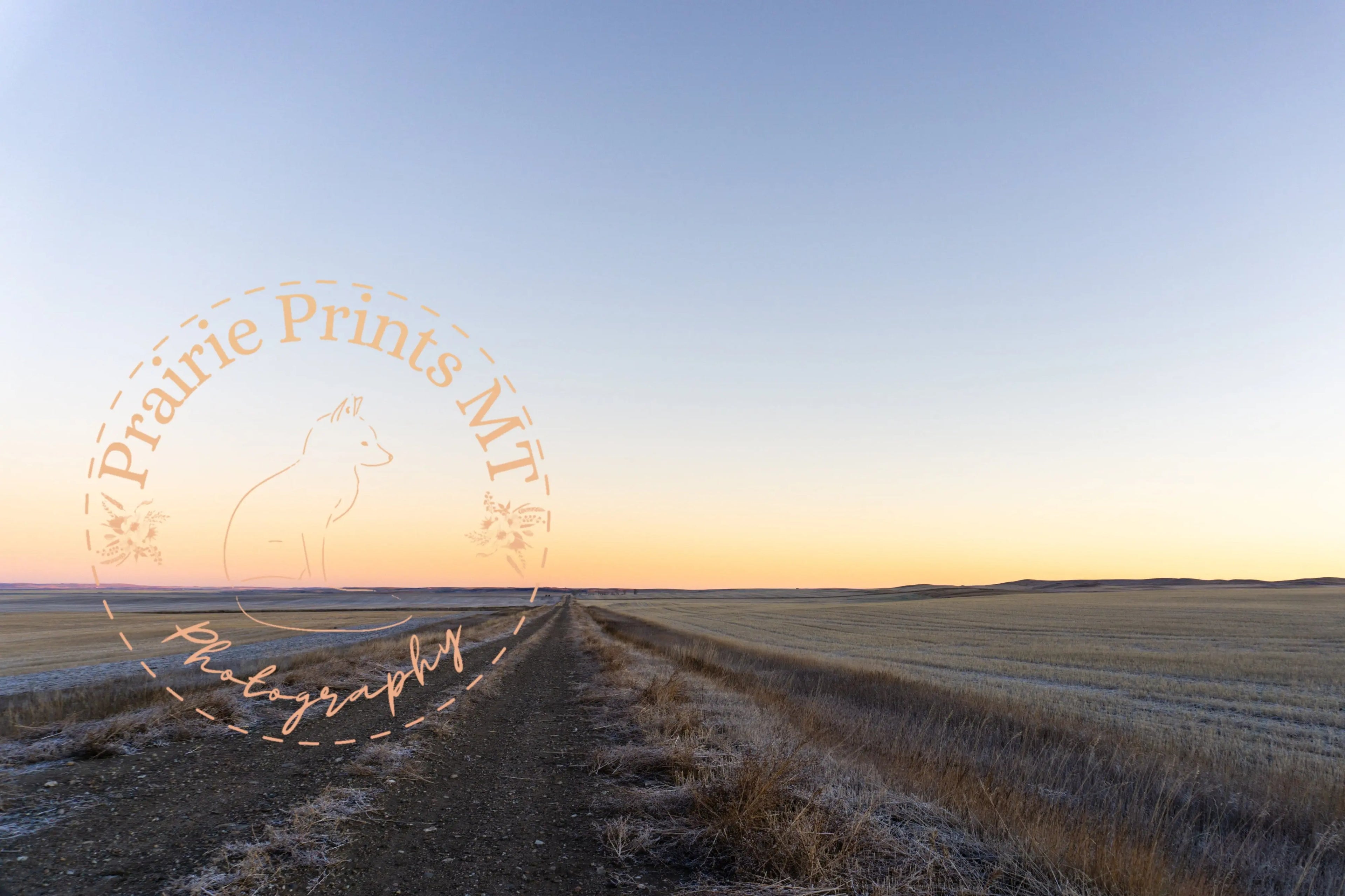 Evening Stretch – Montana Prairie Road at Sunset Prairie Prints MT