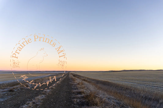 Evening Stretch – Montana Prairie Road at Sunset Prairie Prints MT