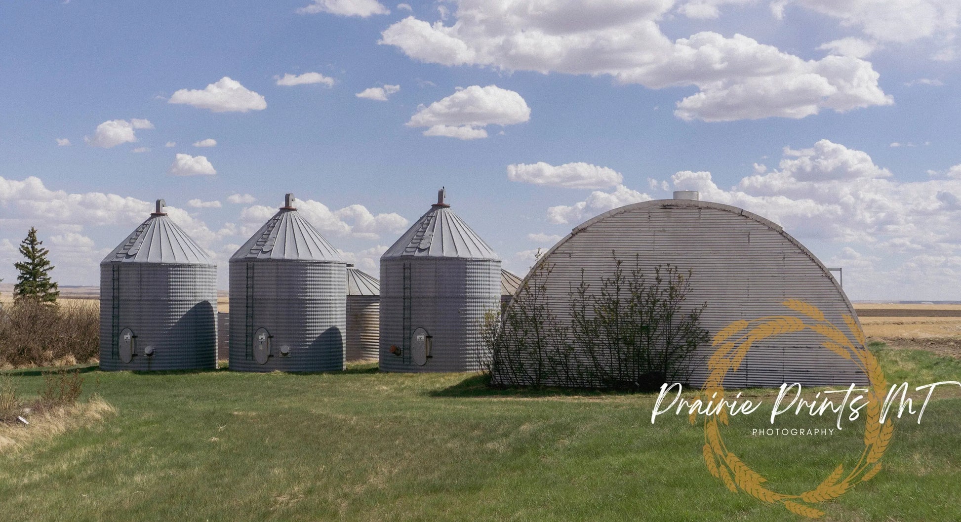 Grain Bin Photo Print, Montana Photography, Large Wall Art - Prairie Prints MT