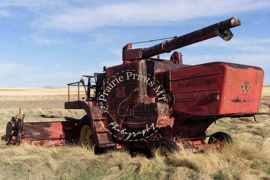 Massey Ferguson Combine Prairie Prints MT