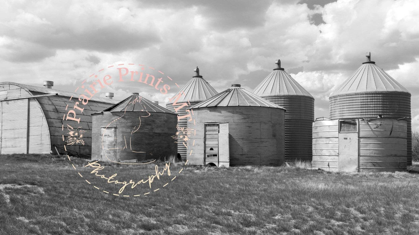 Old Grain Bins Prairie Prints MT