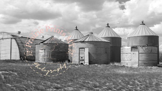 Old Grain Bins Prairie Prints MT