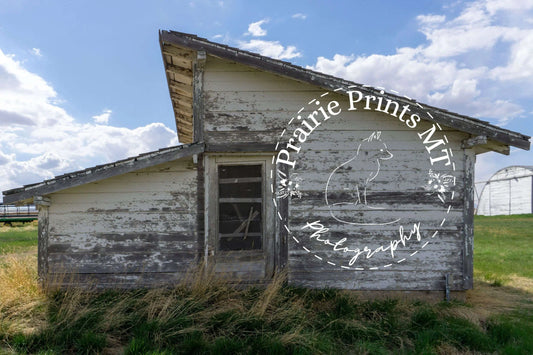 Rural Backyard Shed Prairie Prints MT