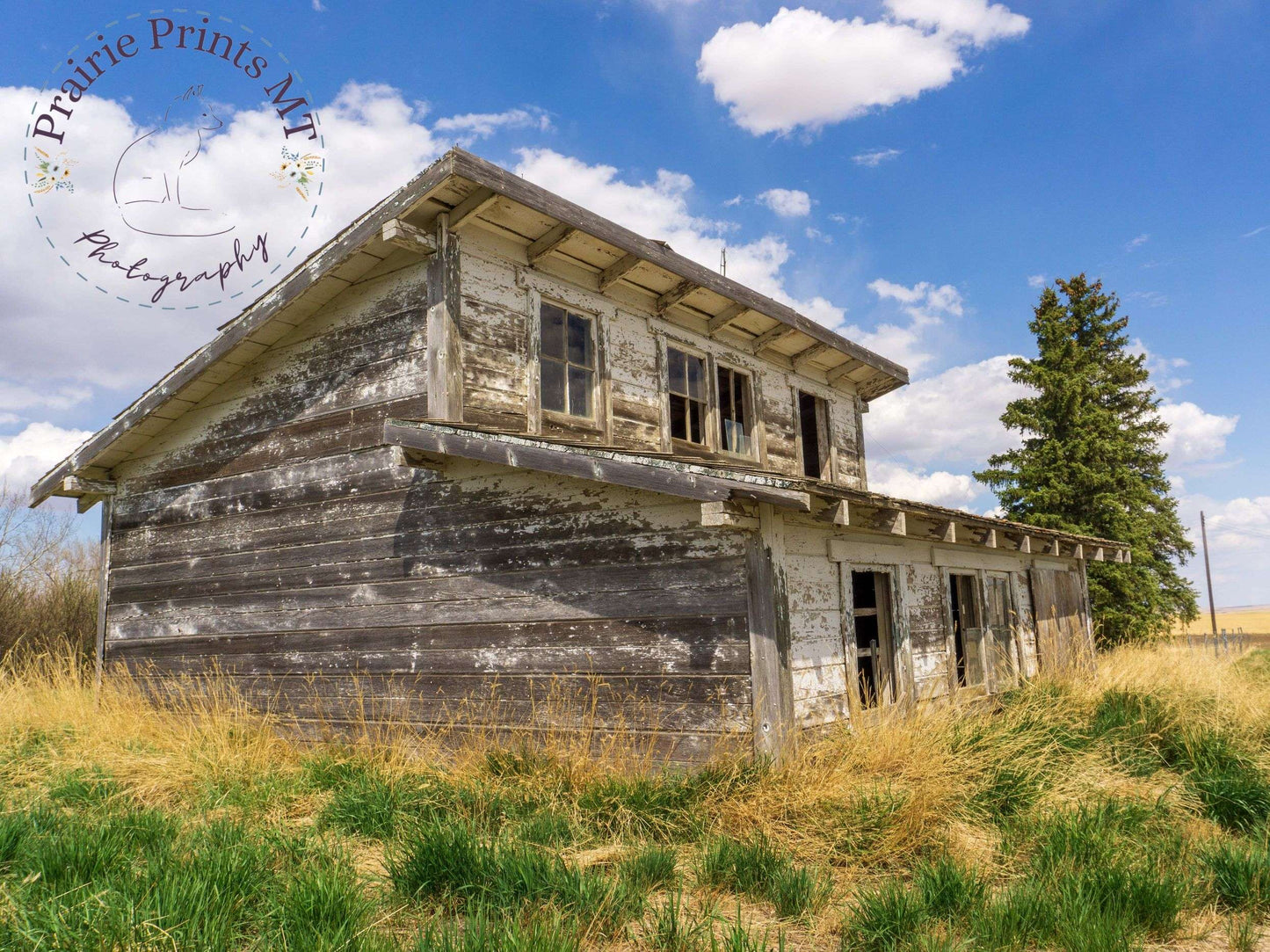 Rustic Wooden Shed Prairie Prints MT