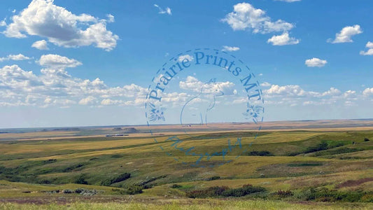 Summer Day Prairie Prints MT