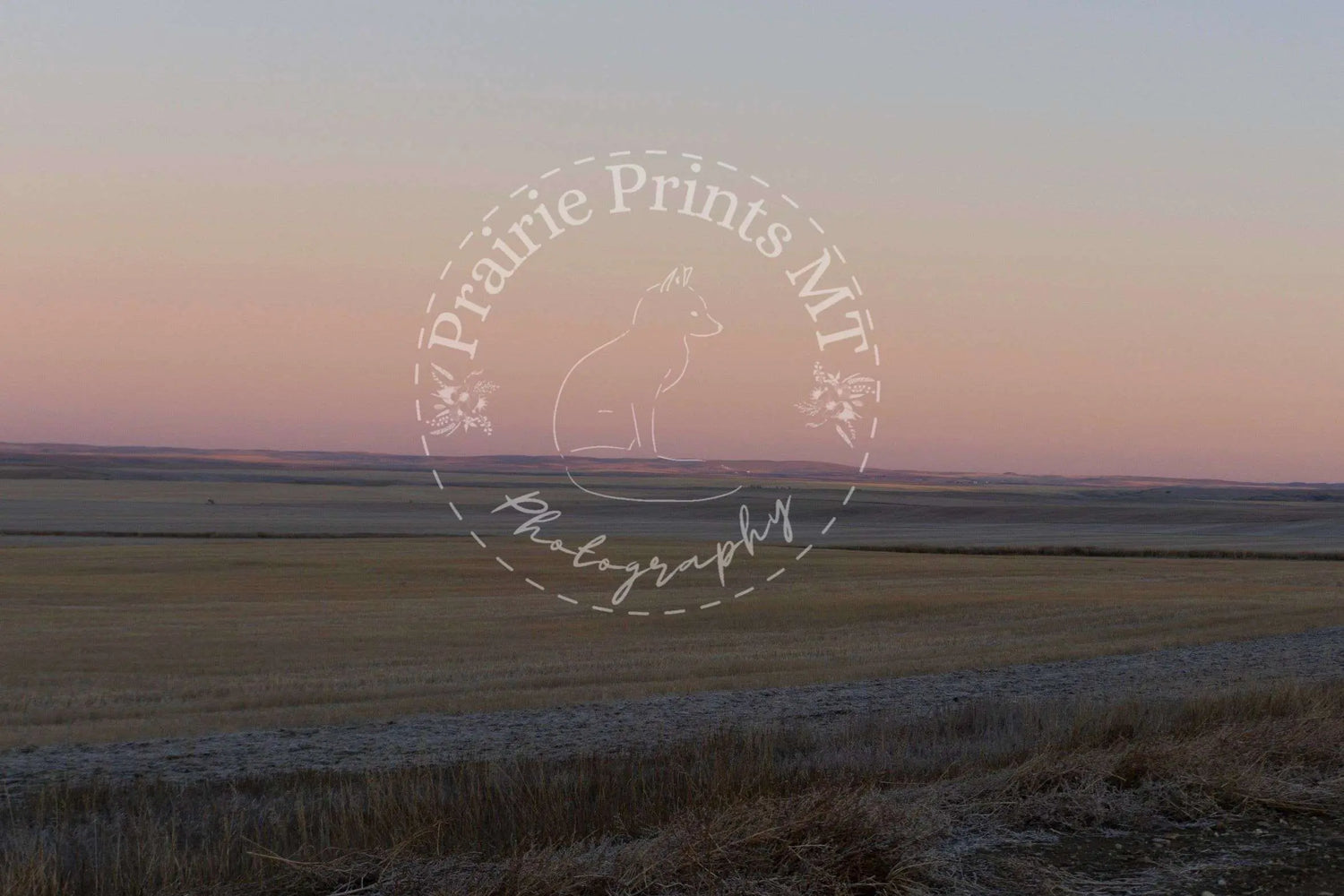 Sunrise on the Prairie Prairie Prints MT