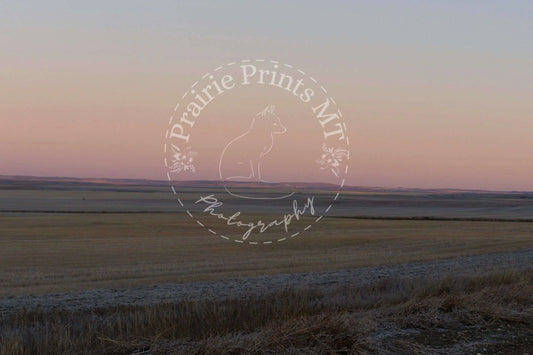 Sunrise on the Prairie Prairie Prints MT