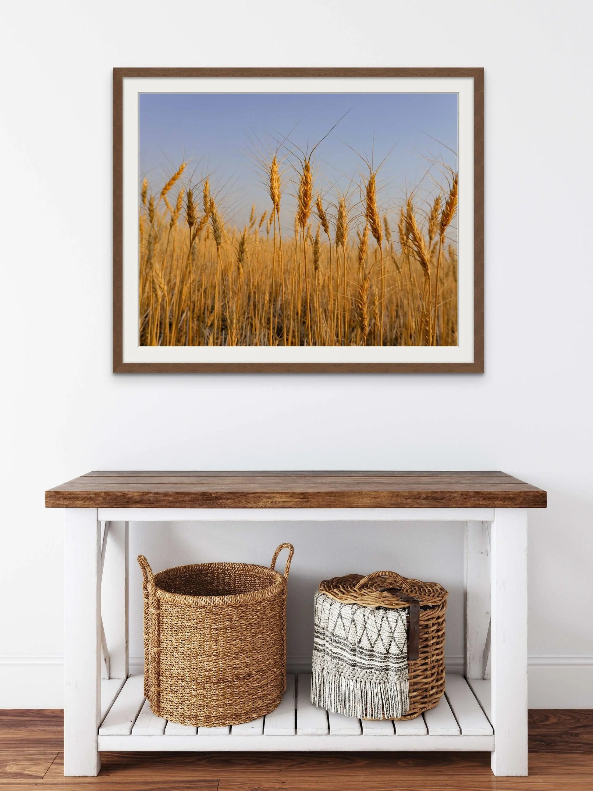 Wheat at Harvest, Golden Wheat, Farmhouse Decor, Rustic Photo Print, Wal Art Canvas - Prairie Prints MT