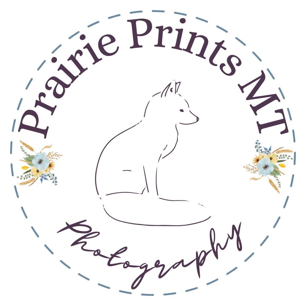 the prairie prints m t photography logo
